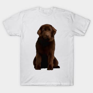 Newfoundland Dog Newfie T-Shirt